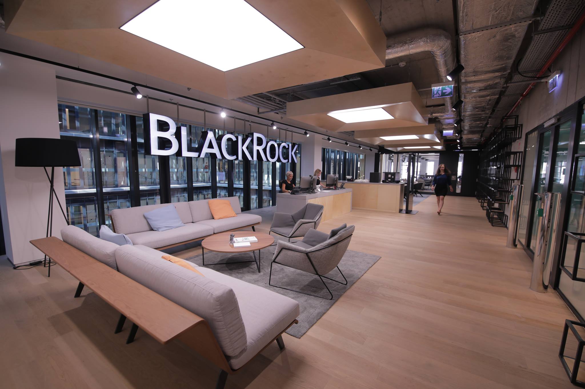 BlackRock’s Next Big Move: Bringing Private Markets to the Forefront